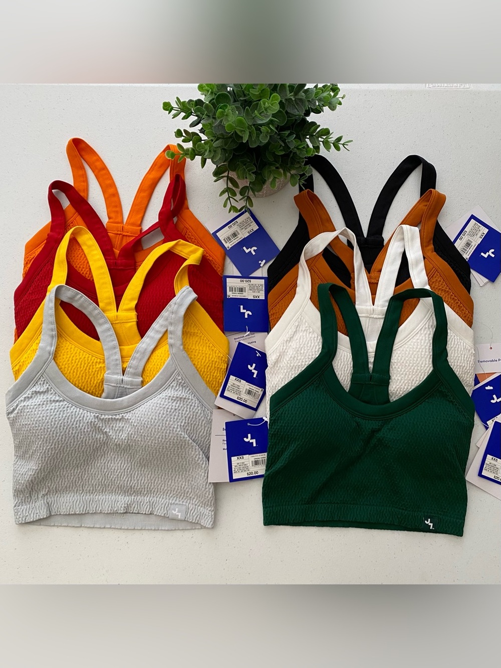 8pc Bundle JoyLab Textured Sports Bra XXS